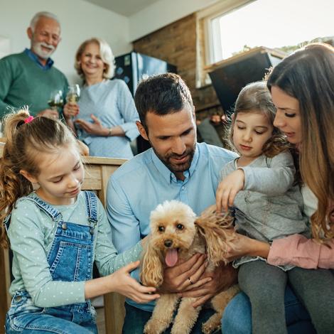 Obrázek - Sleva 25 % na všechny produkty na Alavis-plus.cz