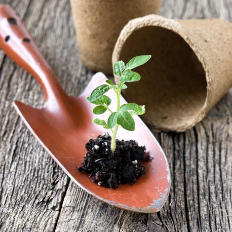 Obrázek - Sleva 15 % na jarní sortiment Fiskars a další od firmy Nohel Garden