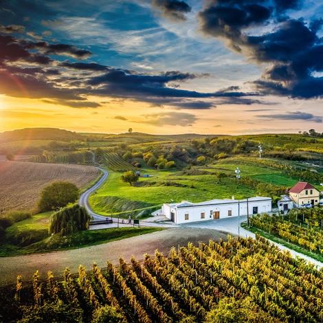 Obrázek - Sleva 15 % na všechna vína v e-shopu Zámecké vinařství Bzenec a Vinařství Mikrosvín Mikulov